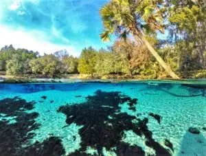 Florida Department of Environmental Protection Wetlands Photo