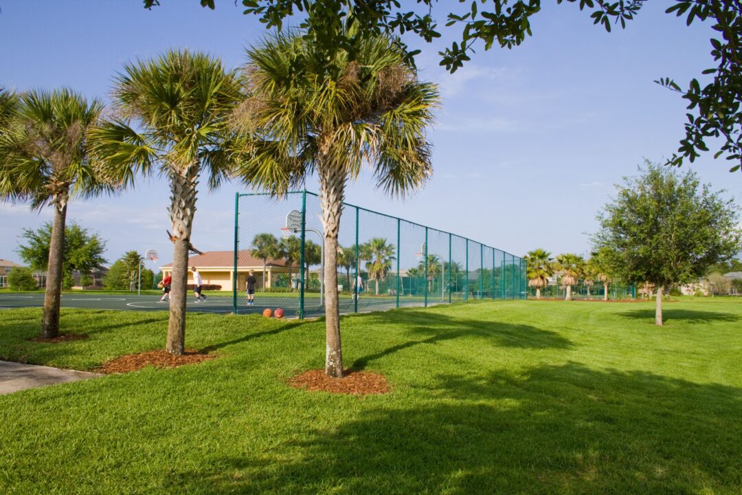 Basketball courts in Live Oak Reserve, Oviedo, Florida